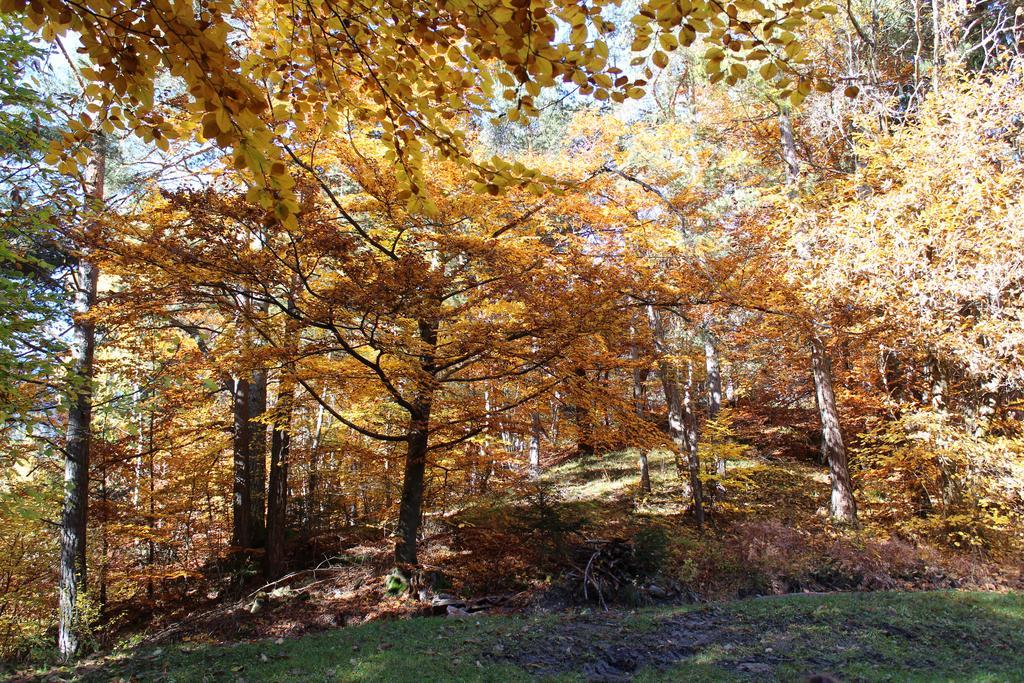 Tinnerhof Appiano Sulla Strada Del Vino Exteriér fotografie