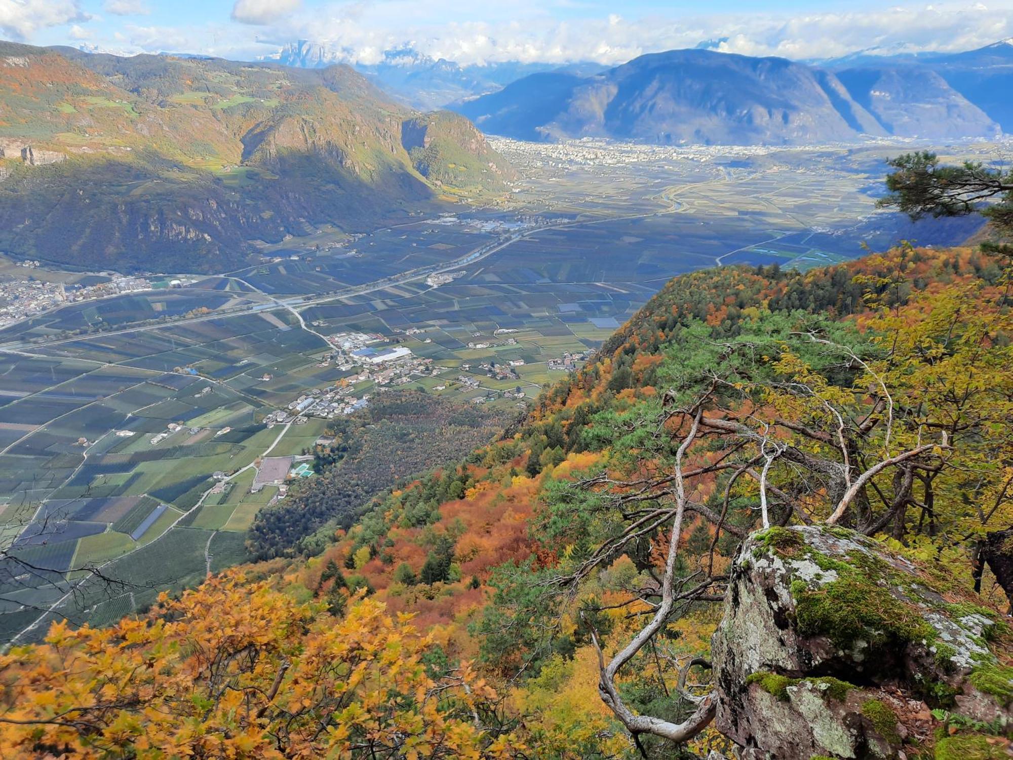 Tinnerhof Appiano Sulla Strada Del Vino Exteriér fotografie