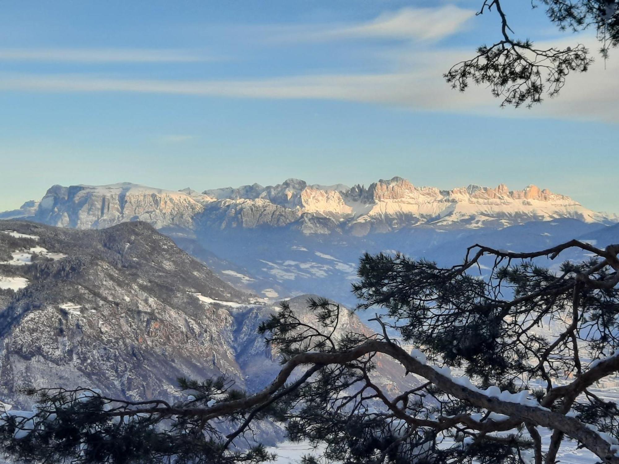 Tinnerhof Appiano Sulla Strada Del Vino Exteriér fotografie