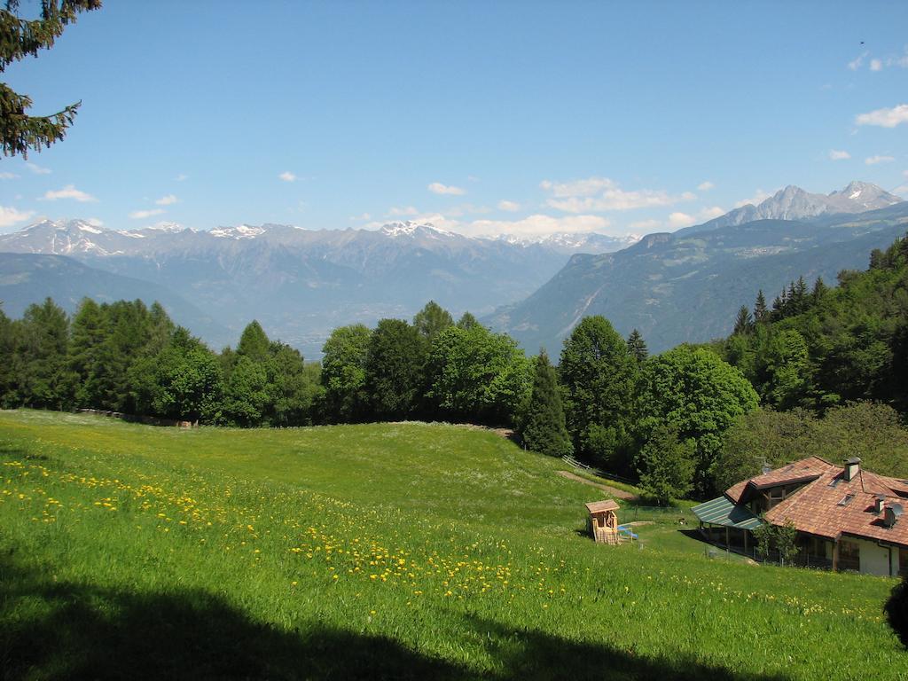 Tinnerhof Appiano Sulla Strada Del Vino Exteriér fotografie