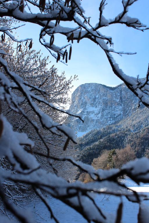 Tinnerhof Appiano Sulla Strada Del Vino Exteriér fotografie