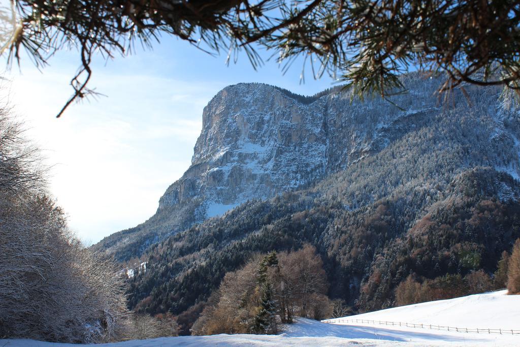 Tinnerhof Appiano Sulla Strada Del Vino Exteriér fotografie