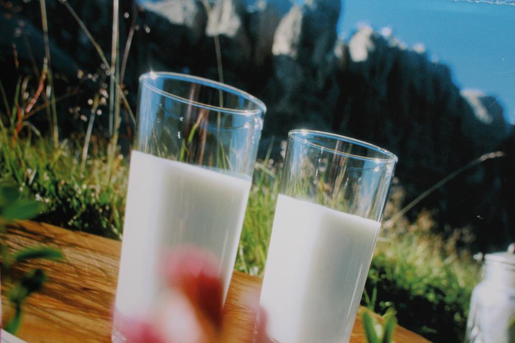 Tinnerhof Appiano Sulla Strada Del Vino Exteriér fotografie