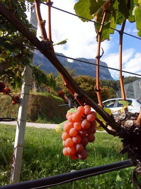 Tinnerhof Appiano Sulla Strada Del Vino Exteriér fotografie